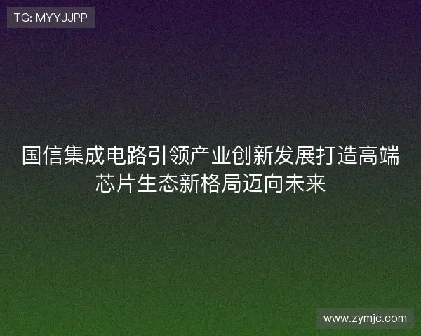 国信集成电路引领产业创新发展打造高端芯片生态新格局迈向未来